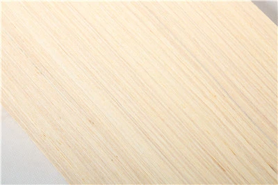 5.EV veneer
