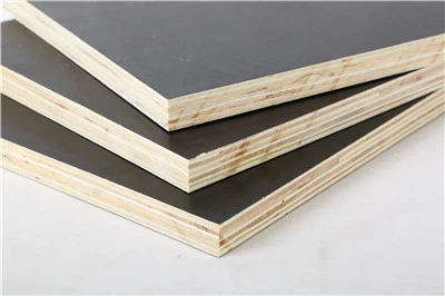 12.Film faced Plywood